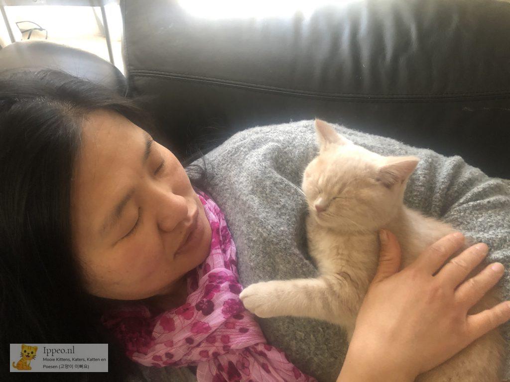 Kitten Samen slapen met Mama