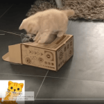 Catit senses 2.0 digger