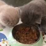 eerste keer op potje geplast