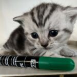 Lekker drinken bij mama