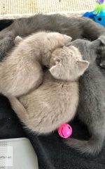 Lekker bij mama slapen