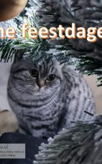 fijne feestdagen