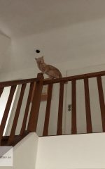 poetsen op grote hoogte